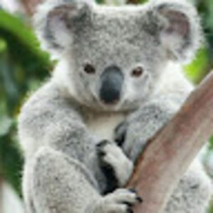 Meet your Posher, Ericka